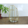 Home Garden Geometric Glass Terrarium Decoration